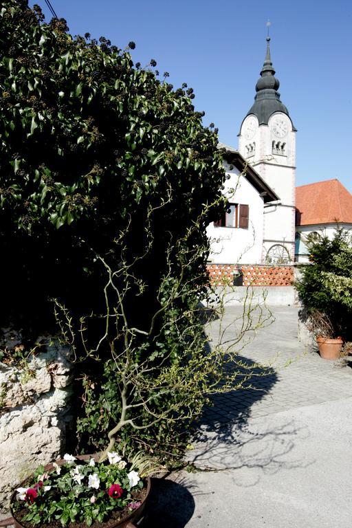Baroque Villa Near Bled - Resort Vidmar ليسْتْسي المظهر الخارجي الصورة